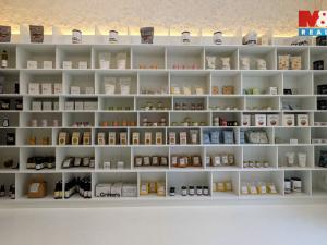 Pronájem obchodního prostoru, Praha, Italská, 47 m2