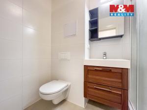 Pronájem bytu 1+kk, Klecany, V Honech, 29 m2