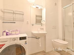 Pronájem bytu 1+1, Brno - Židenice, Škroupova, 38 m2