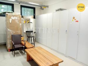 Pronájem obchodního prostoru, Žďár nad Sázavou, Bezručova, 649 m2