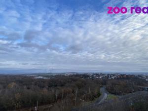 Pronájem bytu 1+1, Chomutov, Stavbařská, 35 m2