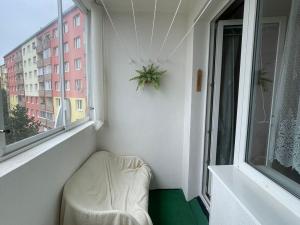 Pronájem bytu 3+1, Chomutov, Borová, 60 m2