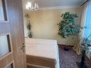 Pronájem bytu 3+1, Chomutov, Borová, 60 m2