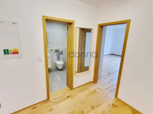 Pronájem bytu 2+kk, Praha, Mužíkova, 54 m2