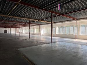 Pronájem výrobních prostor, Dolní Rychnov, Bergmannova, 5000 m2