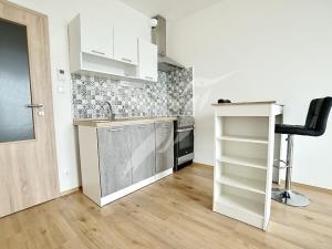 Pronájem bytu 1+kk, Plzeň, Nemocniční, 29 m2