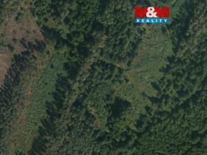 Prodej lesa, Libín - Slavošovice, 32765 m2