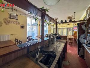 Pronájem restaurace, Dolní Hbity, 297 m2