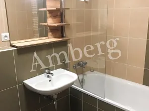 Pronájem bytu 2+kk, Praha - Žižkov, Olgy Havlové, 54 m2