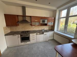 Pronájem rodinného domu, Ostrava, Křížkovského, 300 m2