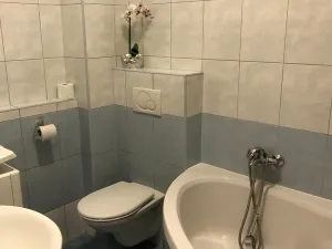 Pronájem bytu 1+kk, Olomouc, Voskovcova, 31 m2