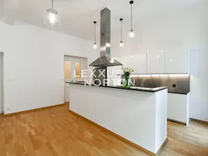 Pronájem bytu 3+kk, Praha - Vinohrady, Mánesova, 118 m2