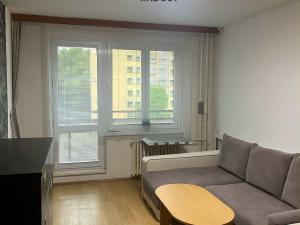 Pronájem bytu 1+kk, Bohumín, Svat. Čecha, 28 m2