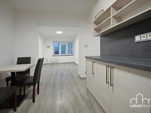 Pronájem bytu 2+1, Roudnice nad Labem, Budovatelů, 51 m2