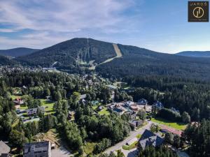 Prodej bytu 2+1, Harrachov - Nový Svět, 61 m2