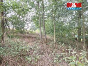 Prodej pole, Bystřice, 163 m2