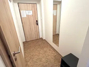 Pronájem bytu 1+kk, Praha - Smíchov, Křížová, 22 m2