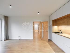 Pronájem bytu 3+kk, Benešov, 102. pluku, 64 m2