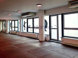 Pronájem obchodního prostoru, Praha, Chrudimská, 360 m2