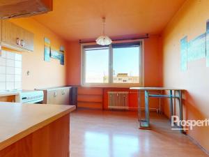 Prodej bytu 1+1, Ústí nad Labem - Krásné Březno, Rozcestí, 41 m2