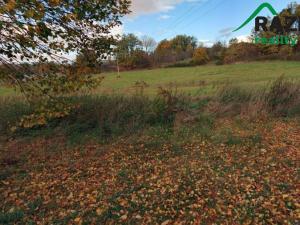 Prodej pozemku, Nalžovské Hory, 14996 m2