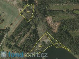 Prodej pozemku, Slavonice - Stálkov, 27662 m2