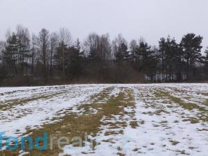 Prodej pozemku, Nová Bystřice - Blato, 19660 m2