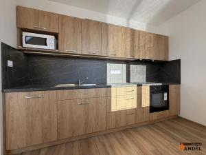 Pronájem bytu 2+1, Havířov, Dělnická, 48 m2