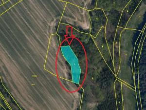 Prodej lesa, Horní Bukovina, 2690 m2