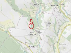 Prodej lesa, Horní Bukovina, 2690 m2