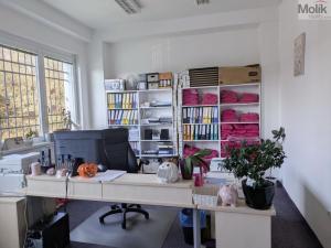 Pronájem kanceláře, Teplice, Novosedlická, 18 m2