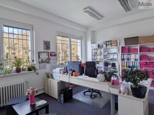 Pronájem kanceláře, Teplice, Novosedlická, 36 m2