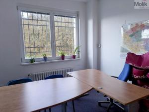 Pronájem kanceláře, Teplice, Novosedlická, 18 m2