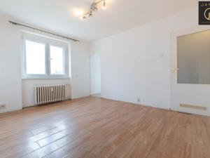 Prodej bytu 1+1, Stochov, Hornická, 32 m2