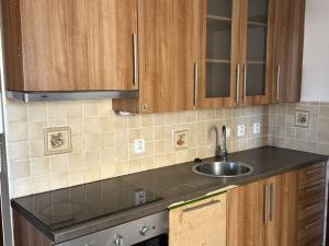 Pronájem bytu 3+kk, Trutnov, Horská, 51 m2