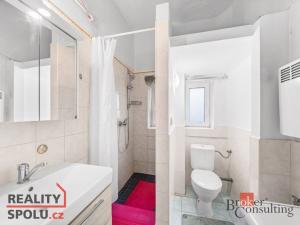 Prodej bytu 1+kk, Plzeň - Božkov, Sušická, 29 m2