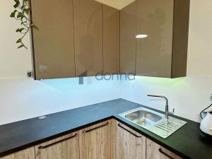 Pronájem bytu 1+kk, Praha, Březenská, 66 m2