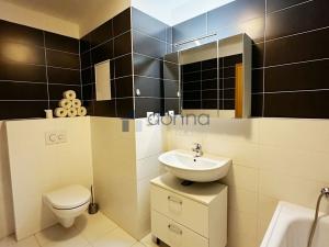 Pronájem bytu 1+kk, Praha, Březenská, 66 m2