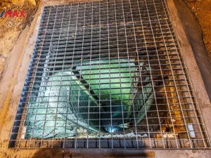 Pronájem obchodního prostoru, Praha - Žižkov, Seifertova, 100 m2