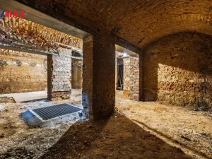 Pronájem obchodního prostoru, Praha - Žižkov, Seifertova, 100 m2