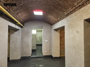 Pronájem obchodního prostoru, Praha - Žižkov, Seifertova, 110 m2