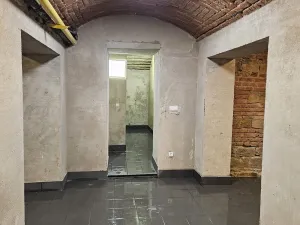 Pronájem obchodního prostoru, Praha - Žižkov, Seifertova, 110 m2