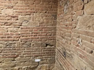 Pronájem obchodního prostoru, Praha - Žižkov, Seifertova, 110 m2