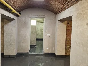Pronájem obchodního prostoru, Praha - Žižkov, Seifertova, 110 m2
