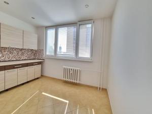 Pronájem bytu 1+1, Ostrava - Moravská Ostrava, Petra Křičky, 41 m2