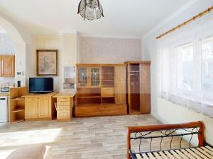 Pronájem bytu 1+kk, Příbram, Cihlářská, 47 m2