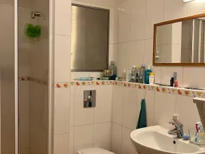 Prodej bytu 1+kk, Praha, Švehlova, 40 m2