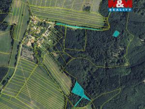 Prodej lesa, Městečko Trnávka - Stará Roveň, 81768 m2