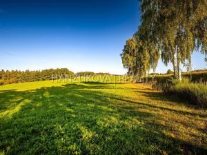 Prodej pozemku pro bydlení, Dubičné, 3914 m2