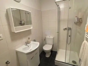 Pronájem bytu 1+kk, Zábřeh, Valová, 25 m2